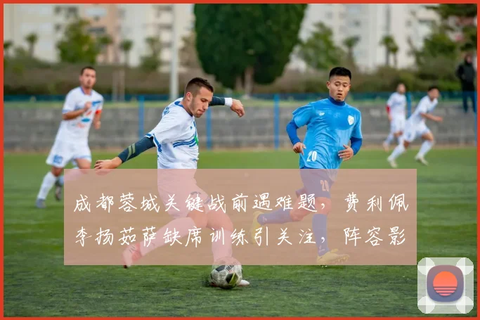 成都蓉城关键战前遇难题，费利佩李扬茹萨缺席训练引关注，阵容影响深度解析